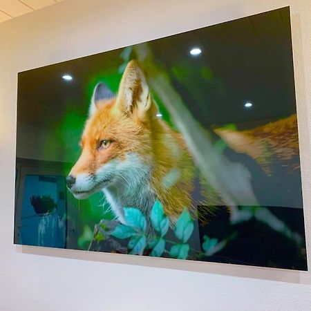 Apartmán Le Terrier Du Katz Dabo Exteriér fotografie