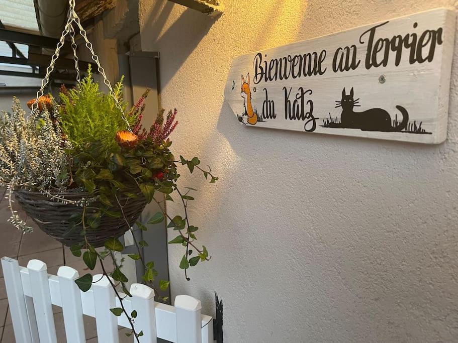 Apartmán Le Terrier Du Katz Dabo Exteriér fotografie